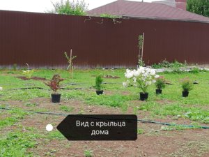 IMG_20180807_103545.jpg