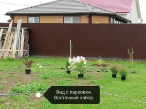 IMG_20180807_103341.jpg