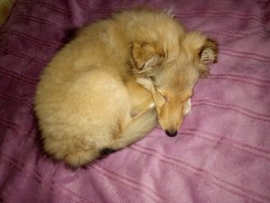 IMG_20171225_133316.jpg