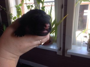 IMG-20160702-WA0000.jpg