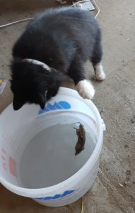 20180808_094203.jpg