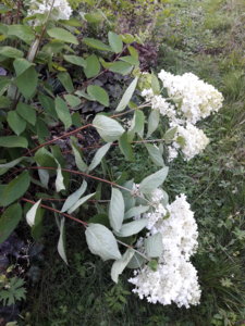 20180805_183423.jpg