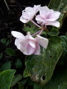 20180805_201657.jpg