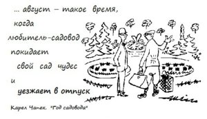 чапек.jpg