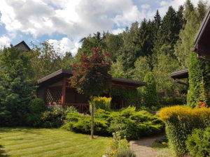 20180807_101831.jpg