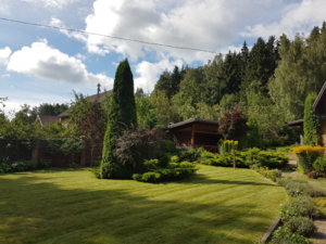 20180807_101729.jpg
