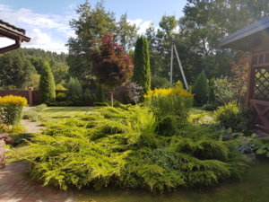 20180807_101322.jpg