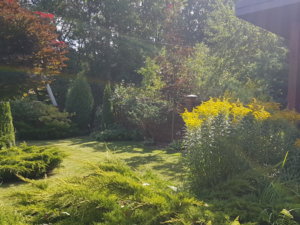 20180807_101501.jpg
