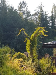 20180802_175626.jpg