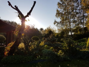 20170924_081443.jpg