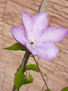 20180807_102108.jpg