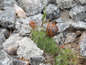 DSCN6182.JPG
