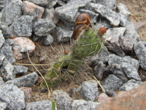 DSCN6183.JPG