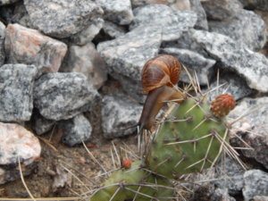DSCN6184.JPG
