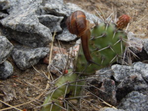 DSCN6186.JPG