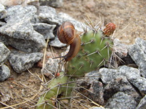 DSCN6187.JPG
