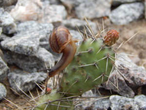 DSCN6188.JPG