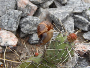 DSCN6189.JPG