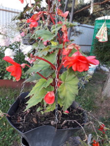 20180817_202325.jpg