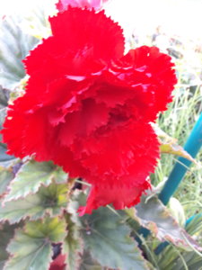 20180817_202048.jpg