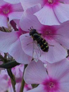20180806_193553.jpg