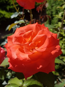 20180807_104113.jpg