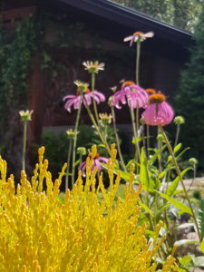 20180807_112731.jpg