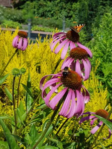 20180807_112253.jpg
