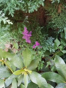 20180807_105607.jpg