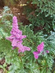 20180807_105522.jpg