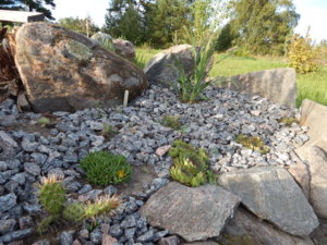 DSCN7946.JPG