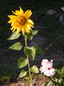 DSCN7422.JPG