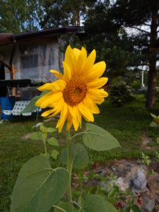 DSCN7892.JPG