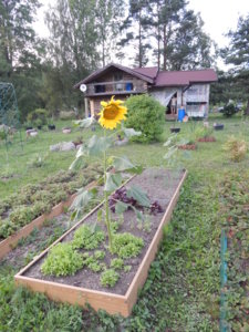 DSCN8050.JPG