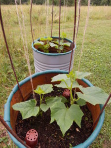 DSCN7072.JPG