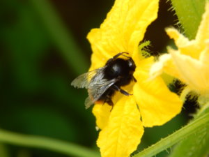 DSCN7903.JPG