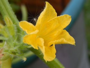 DSCN8015.JPG