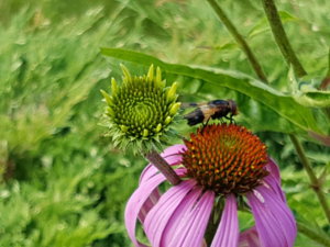 20180807_112053.jpg