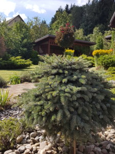 20180807_104433.jpg