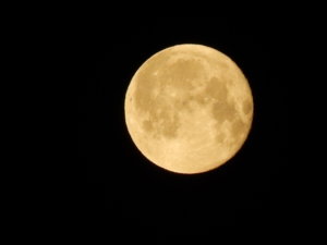 DSCN7514.JPG