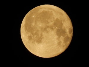DSCN7516.JPG