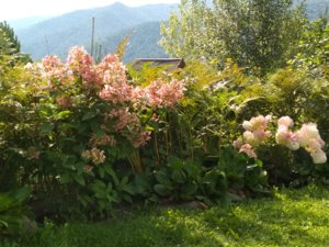 IMG_20180821_101932.jpg