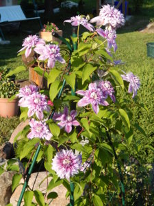DSCN7444.JPG