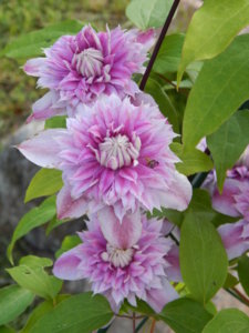 DSCN7548.JPG