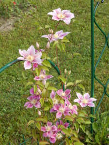 DSCN7579.JPG
