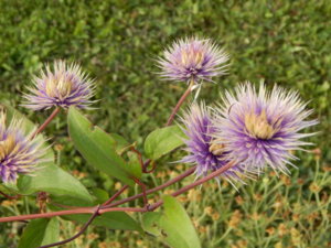 DSCN7582.JPG