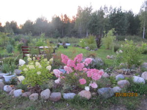 IMG_1460.JPG