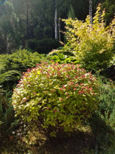 20180807_115356.jpg