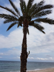 20180818_170346.jpg
