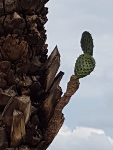 20180818_170404.jpg